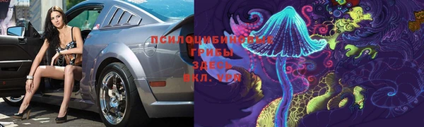 дмт Нефтекумск