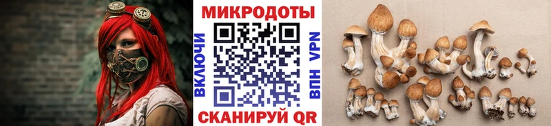 где купить наркоту  Ивангород  Галлюциногенные грибы ЛСД 