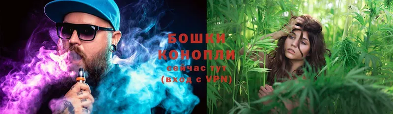 Бошки Шишки White Widow  Ивангород 